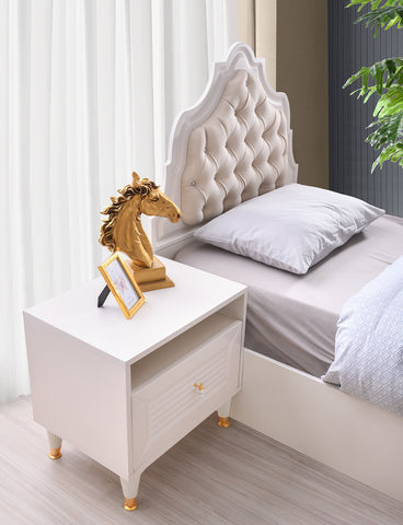 Младежка Стая AYLA