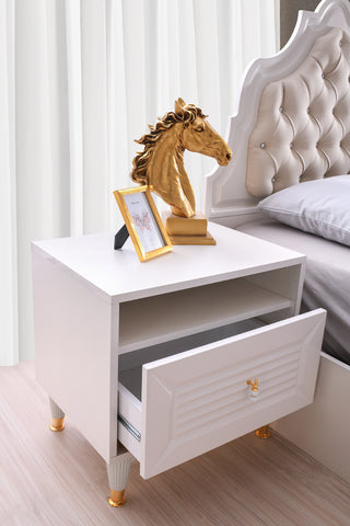 Младежка Стая AYLA